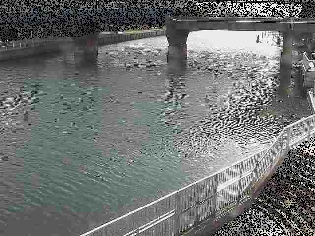 堀割川付近のカメラ画像