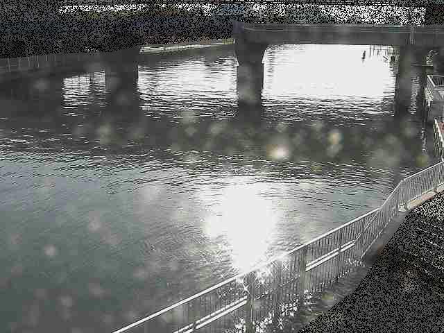 堀割川付近のカメラ画像