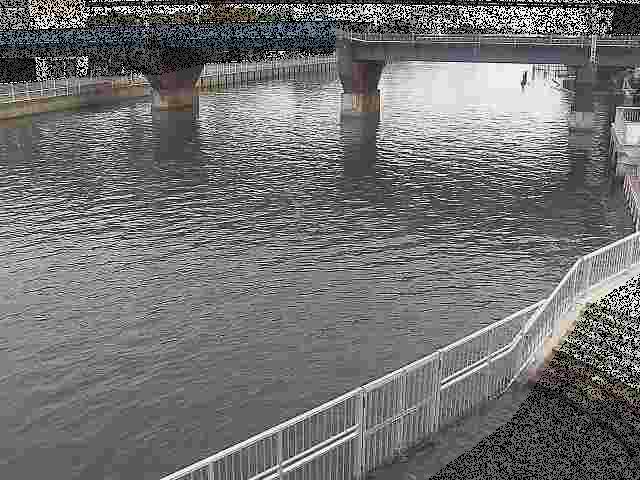 堀割川付近のカメラ画像