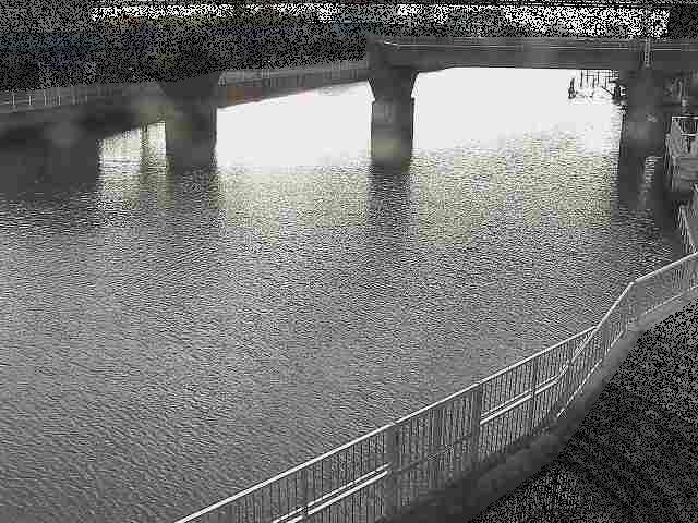 堀割川付近のカメラ画像