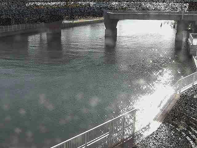 堀割川付近のカメラ画像