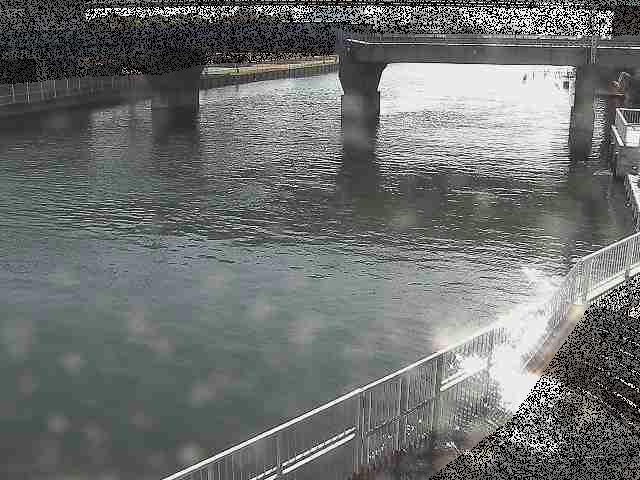 堀割川付近のカメラ画像