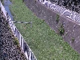 �����t�߂̉摜