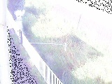 t߂̉摜