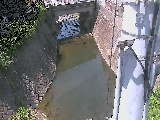 �勴�t�߂̉摜