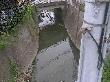 勴t߂̉摜