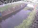 ͌t߂̉摜