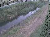 苴t߂̉摜