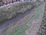苴t߂̉摜