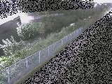 싴t߂̉摜