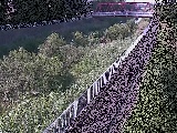 Vߗ䋴t߂̉摜