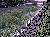 Vߗ䋴t߂̉摜
