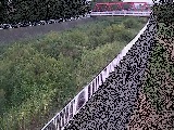 Vߗ䋴t߂̉摜