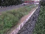 Vߗ䋴t߂̉摜