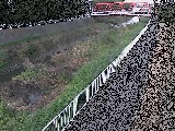 Vߗ䋴t߂̉摜