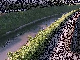 t߂̉摜