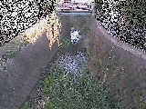 Ët߂̉摜