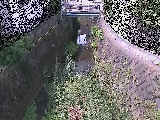 Ët߂̉摜