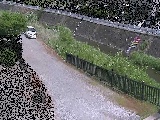 ���~���t�� �̉摜