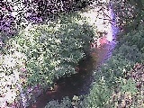 t߂̉摜