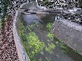 Rt߂̉摜