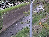 VY싴t߂̉摜