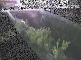 irt߂̉摜