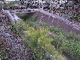 irt߂̉摜