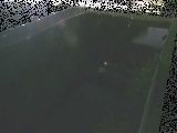 g싴t߂̉摜