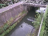g싴t߂̉摜