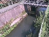 g싴t߂̉摜