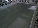 g싴t߂̉摜