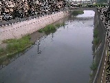 Rt߂̉摜
