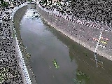 yIVt߂̉摜