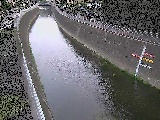 yIVt߂̉摜