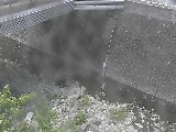 �΋��t�߂̉摜