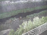Kt߂̉摜