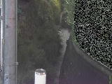 Vt߂̉摜