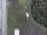 Vt߂̉摜