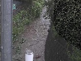 Vt߂̉摜
