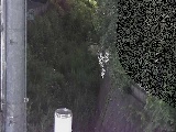 Vt߂̉摜