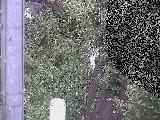 Vt߂̉摜