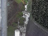 Vt߂̉摜