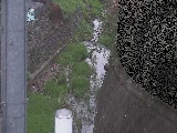 Vt߂̉摜