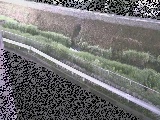 t߂̉摜