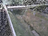 t߂̉摜