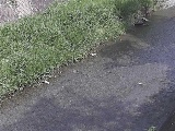 �x�����t�߂̉摜