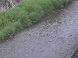 xt߂̉摜