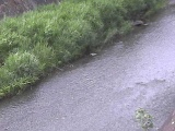 xt߂̉摜