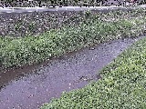GFt߂̉摜
